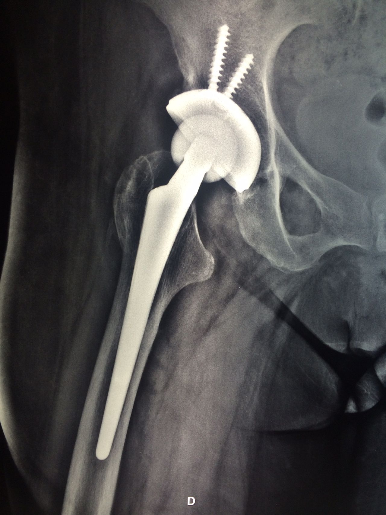 Alexandre Terruggi Jr-9