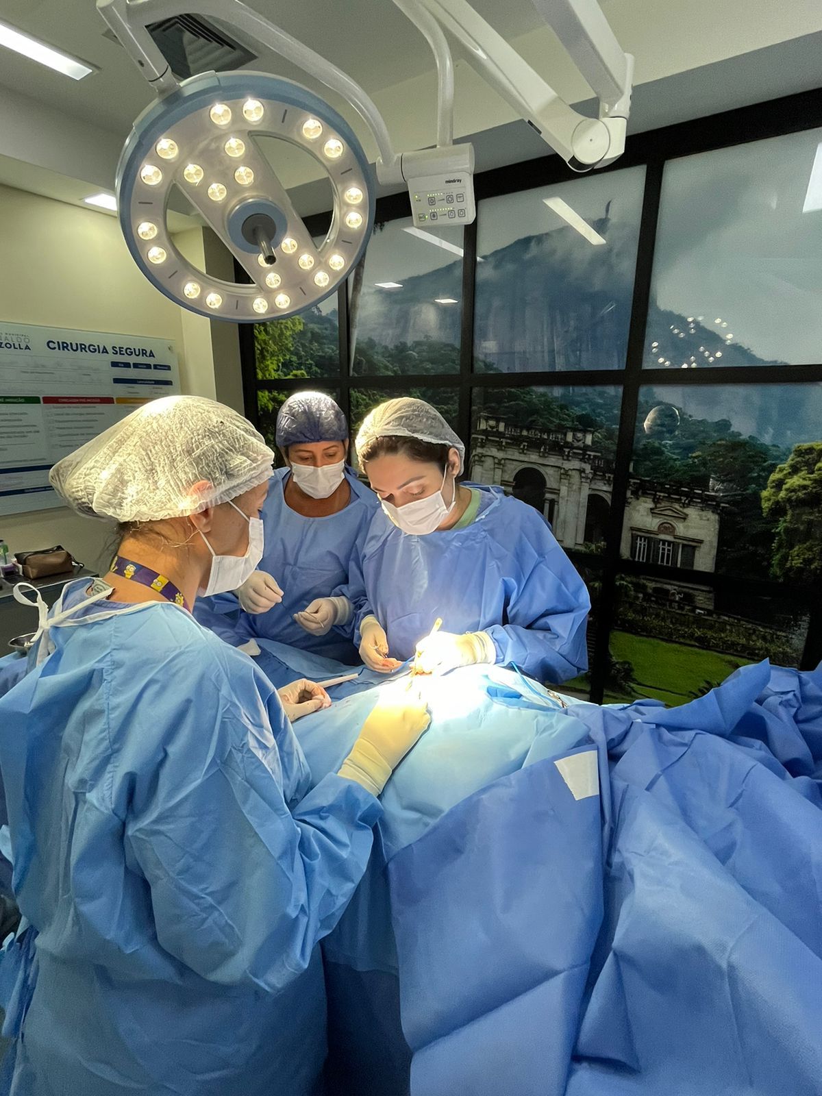 Elizabeth Bittencourt-14