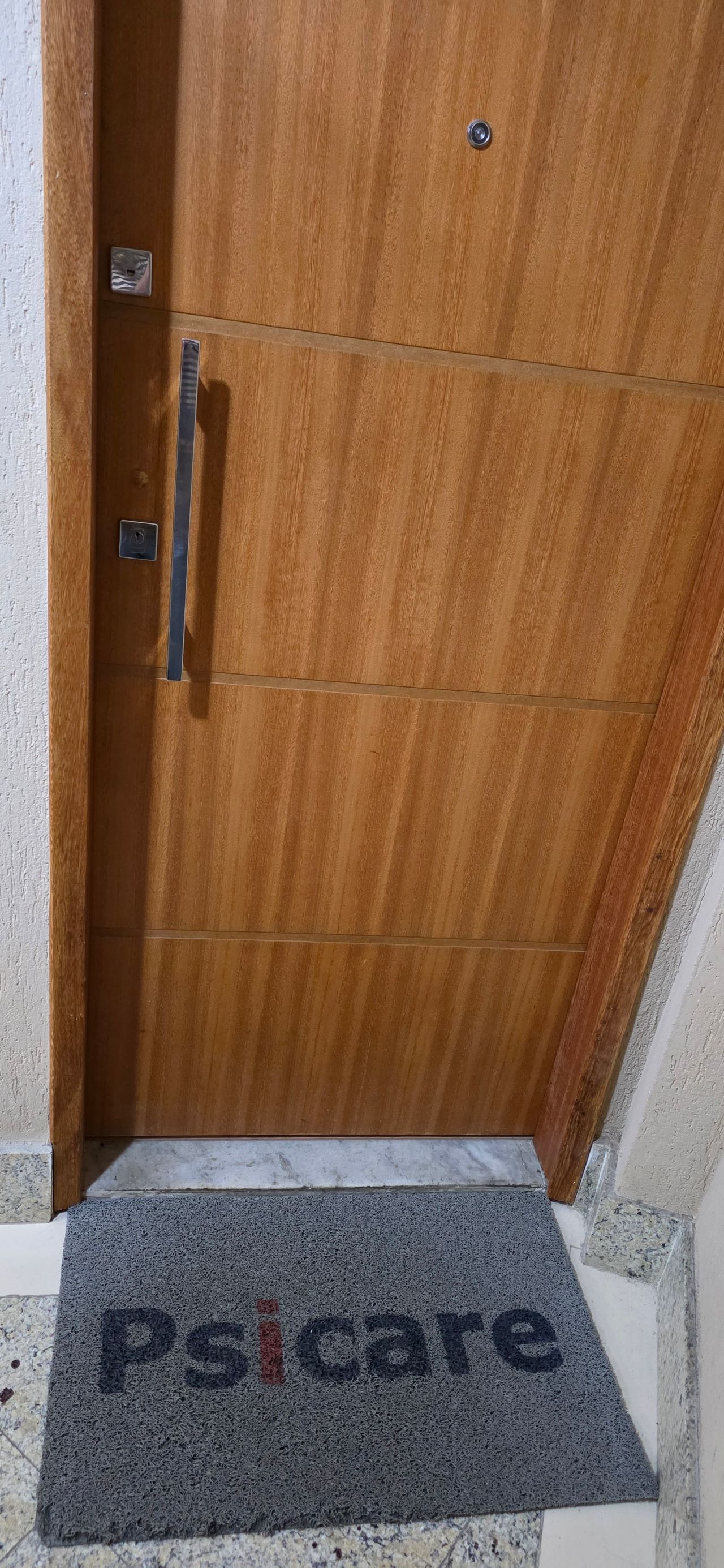 Fabiana Dantas Chiappetta Villanova-1