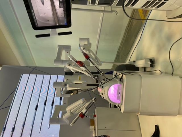 Guilherme Amadeu Poleto-63