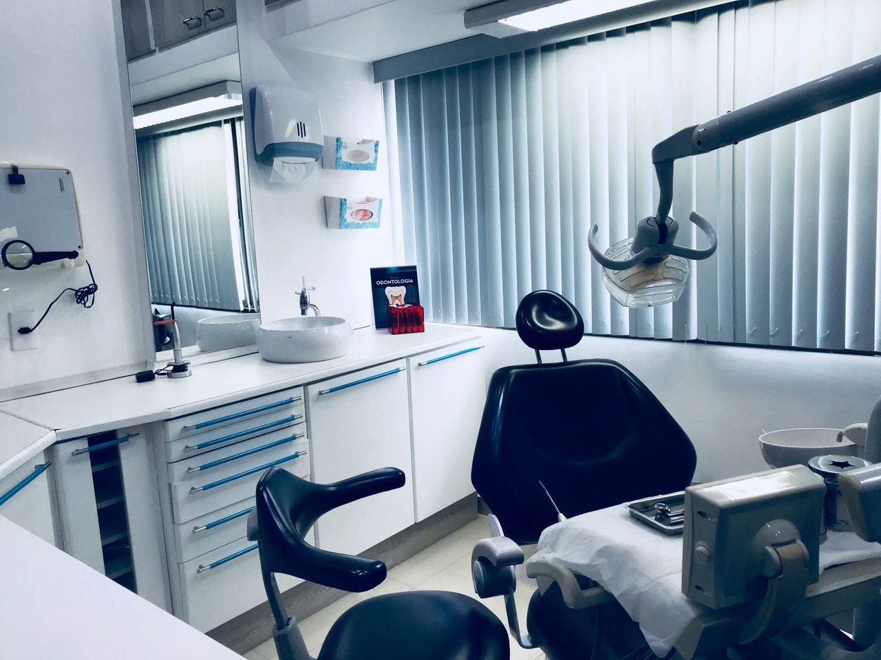 Tariza Gallicchio Moreira-7