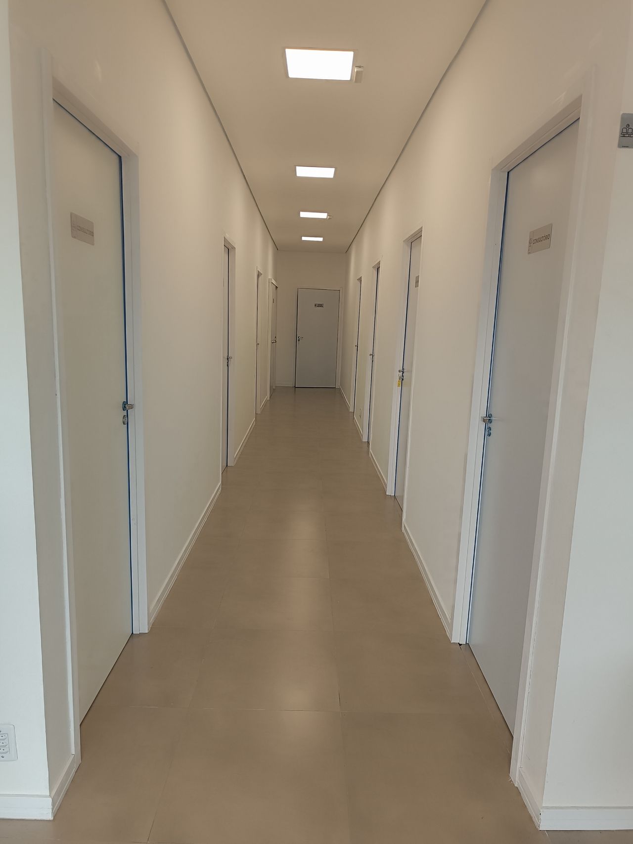 Carolina Friske Vieira-0