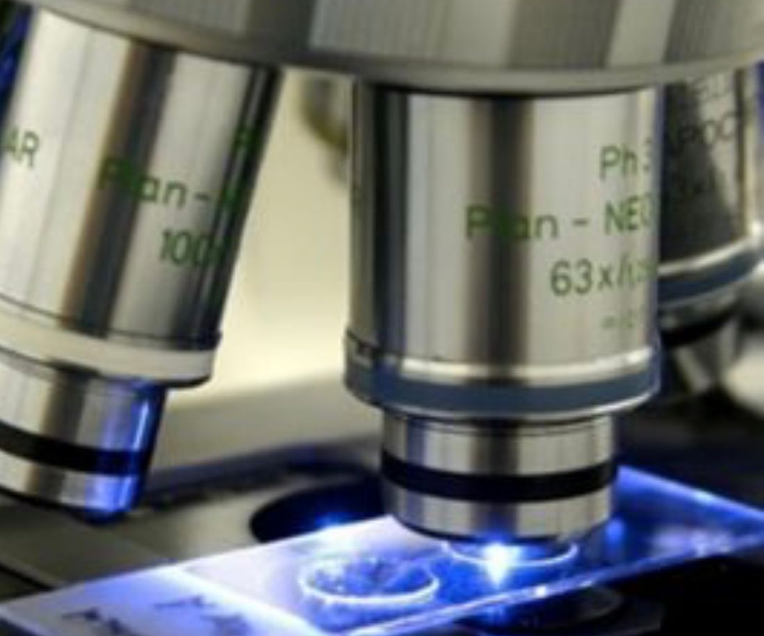 Luciana Ferreira De Araujo-2