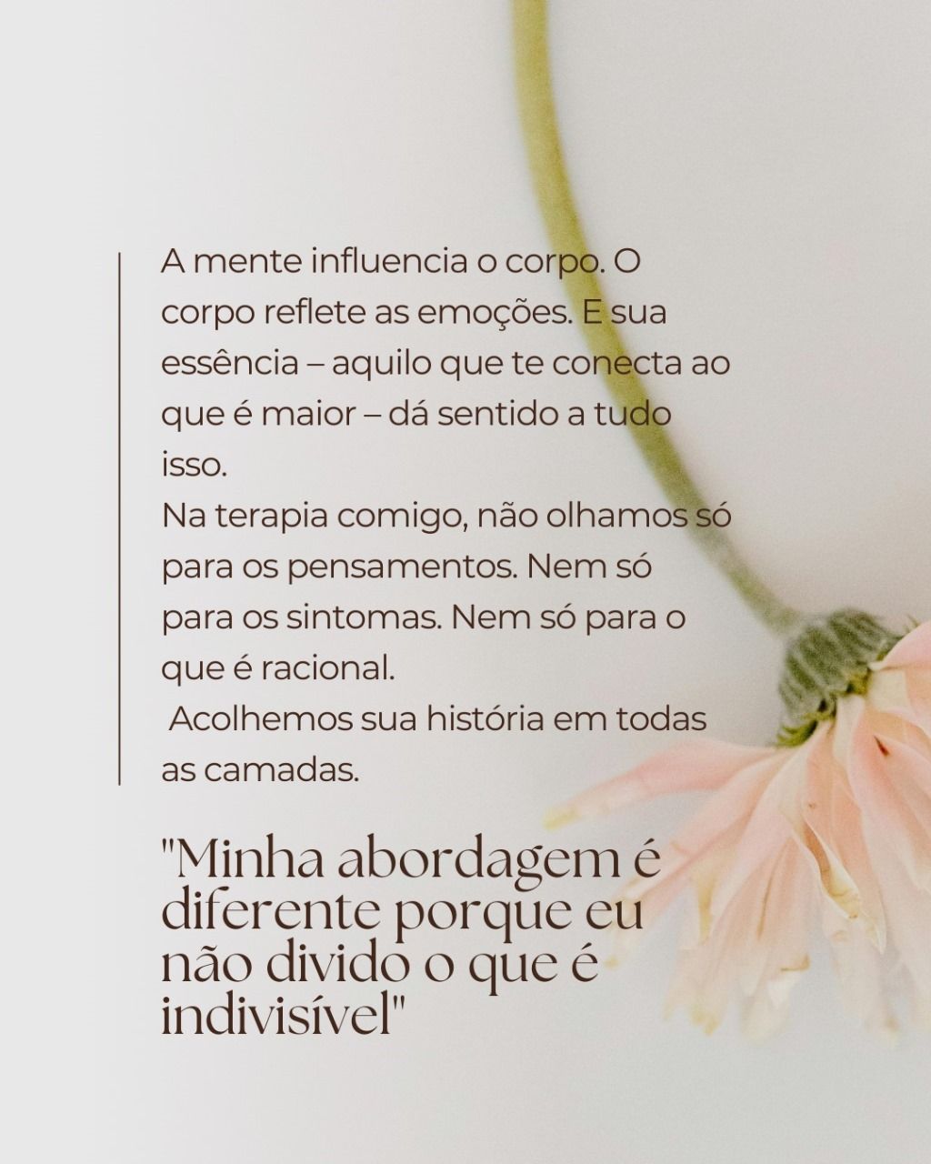 Tassia Cristina Lani-2