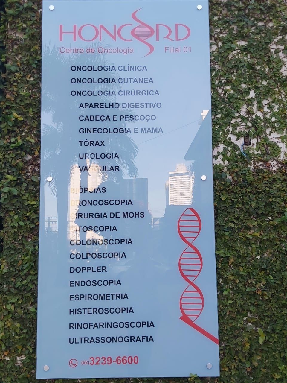 Jordana Botelho De Carvalho Vilela-1