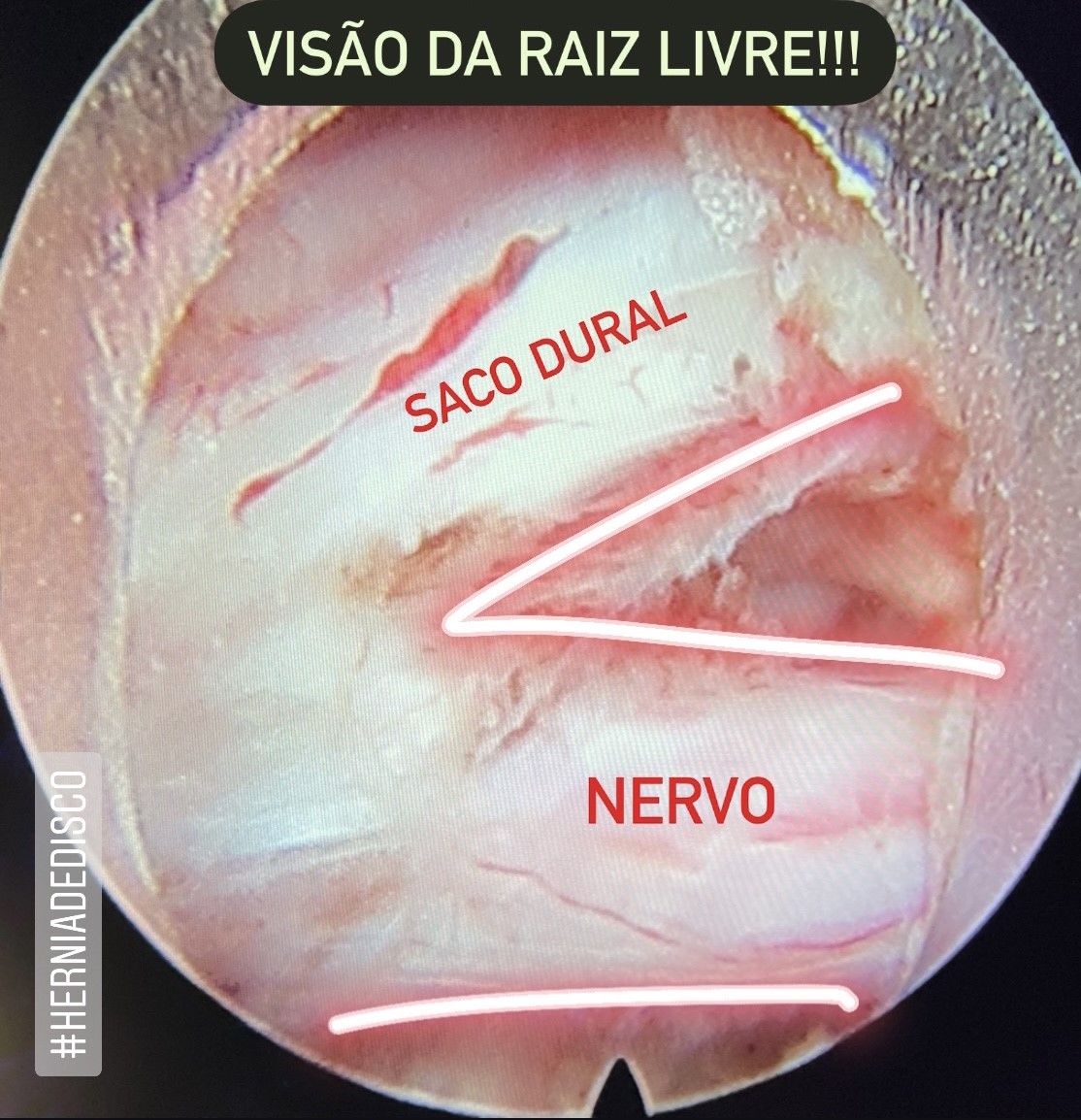 Gabriel Moretti Domingues-5