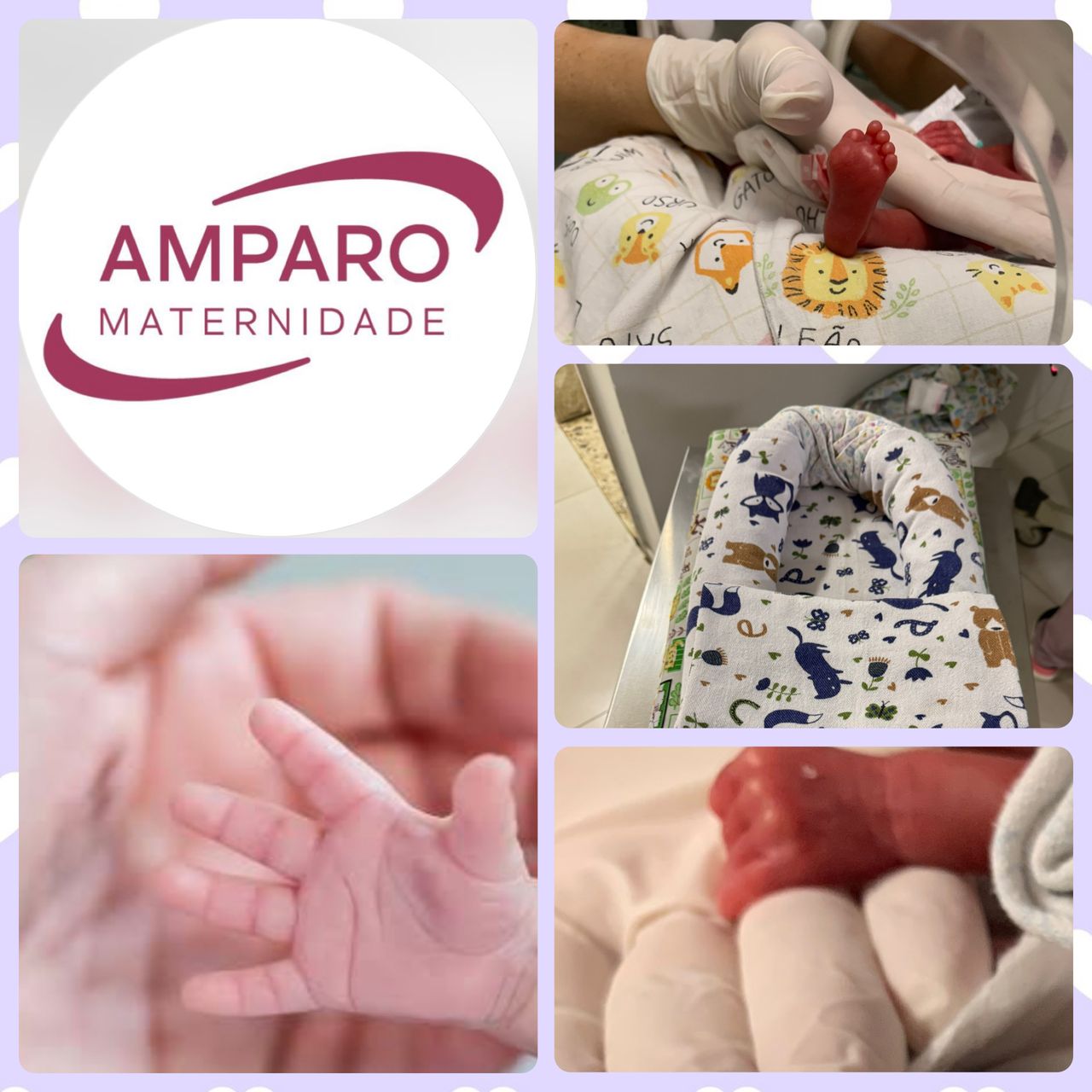 Daniella Cristina Demes-28