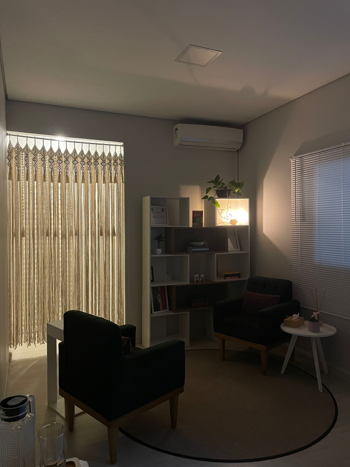 Luiza Christofoletti Vito-1