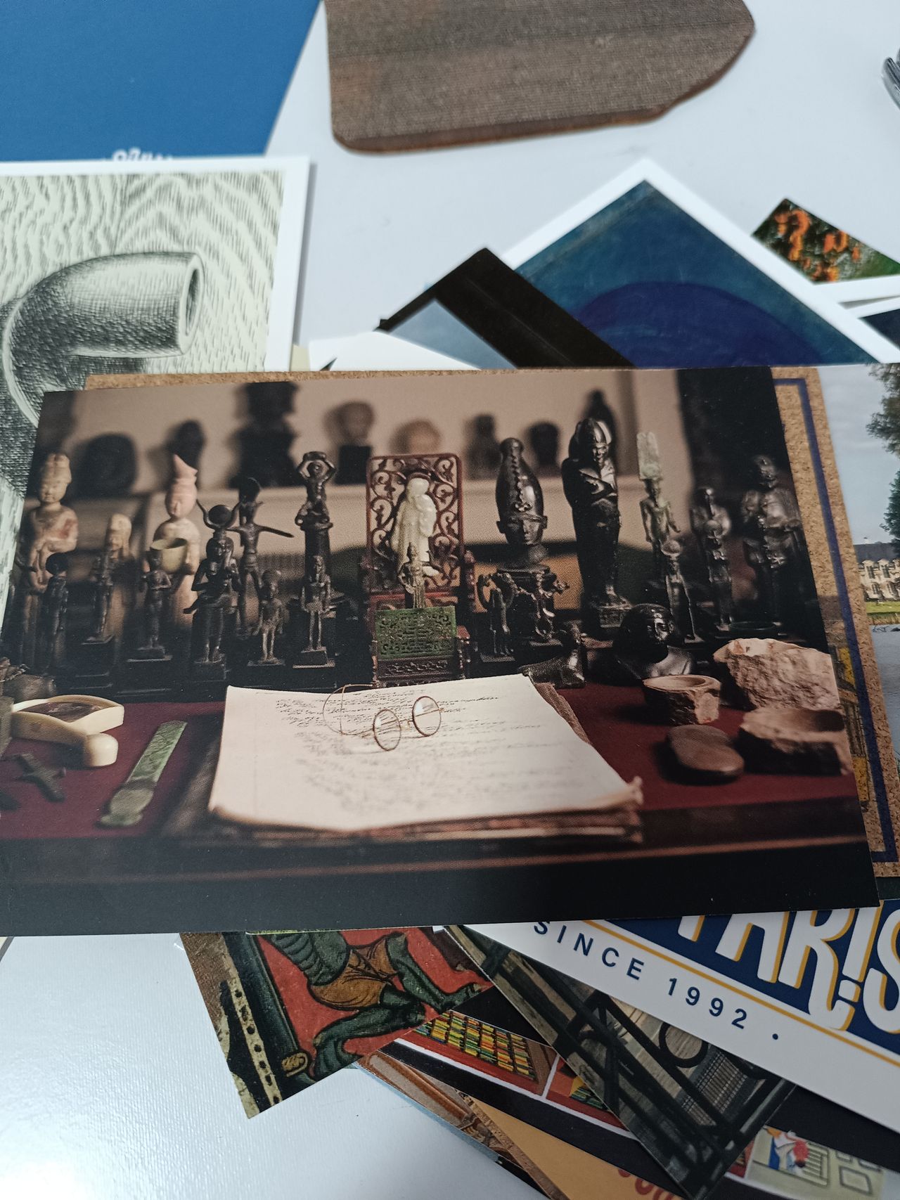 Giulia Molossi Carneiro-0