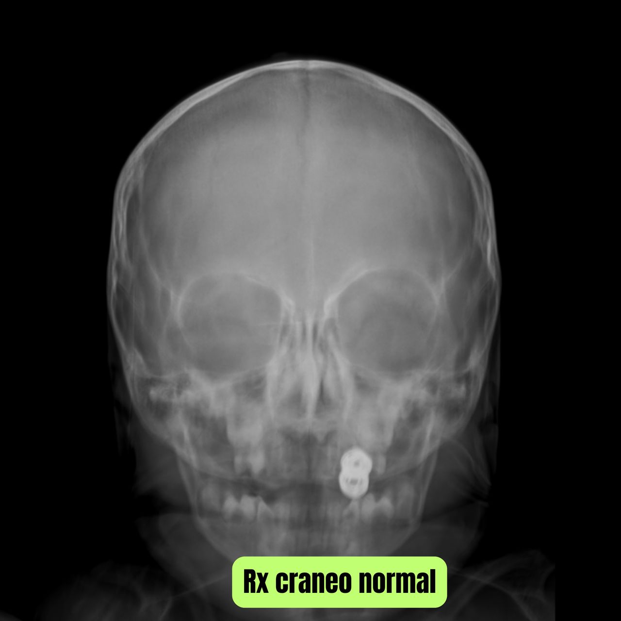 David Tafur Muñoz-1023