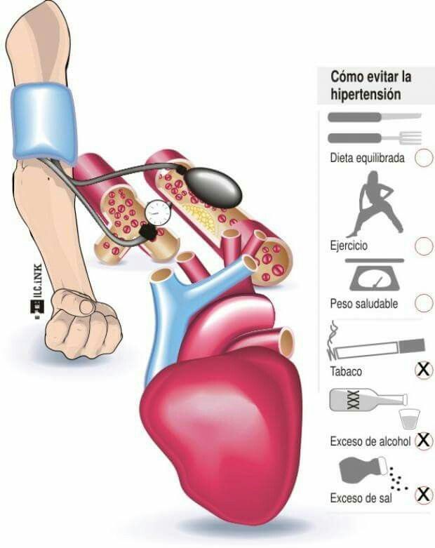 Mariana Romero Frias-13
