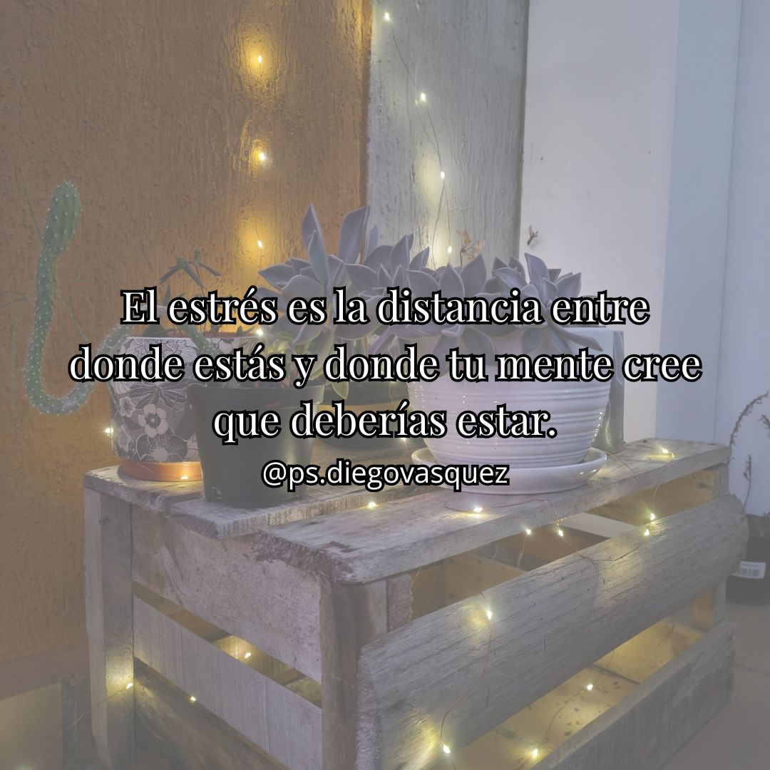 Diego Fernando Vasquez Espinosa-8