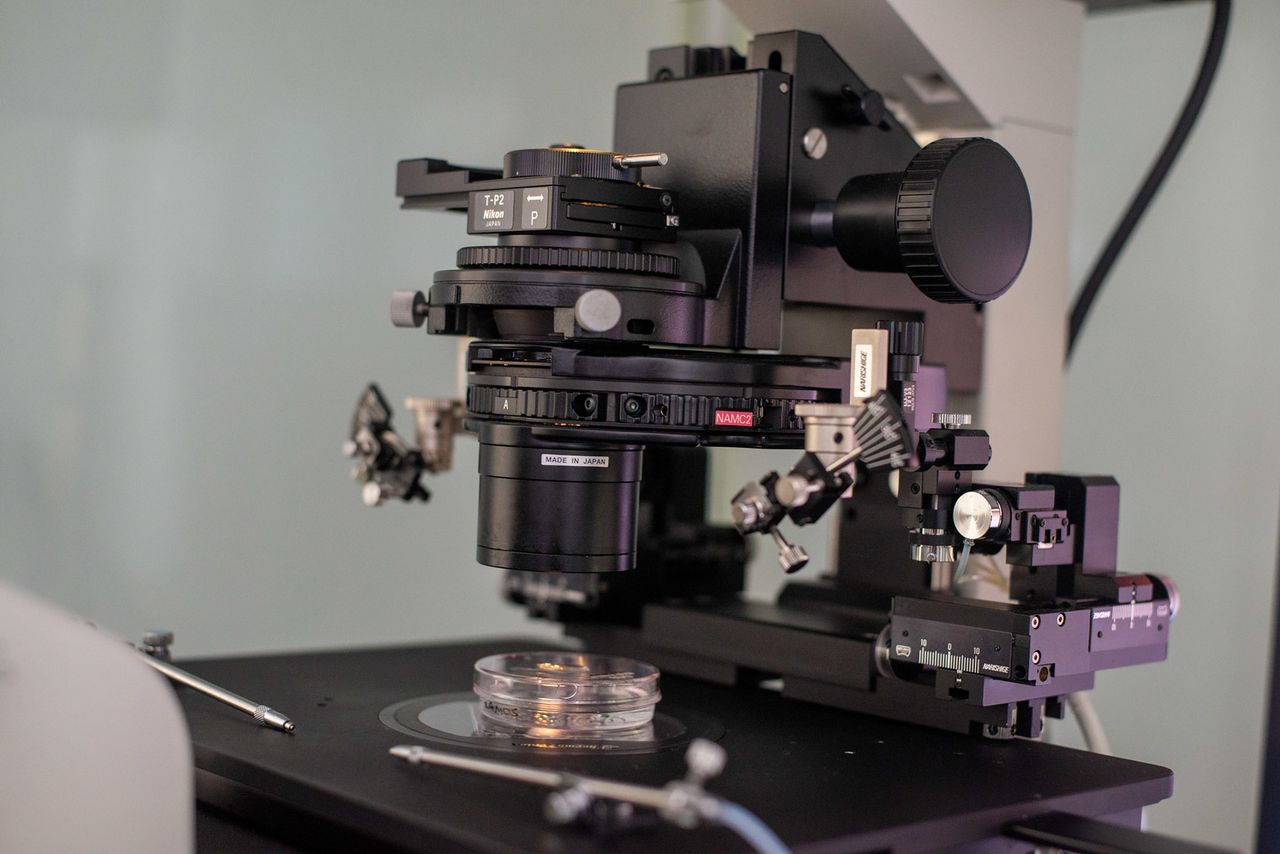 Francisco De Assis Nunes Pereira-5