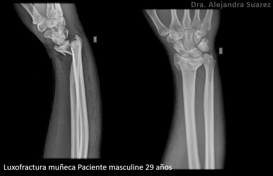 María Alejandra Suárez Merchán-5