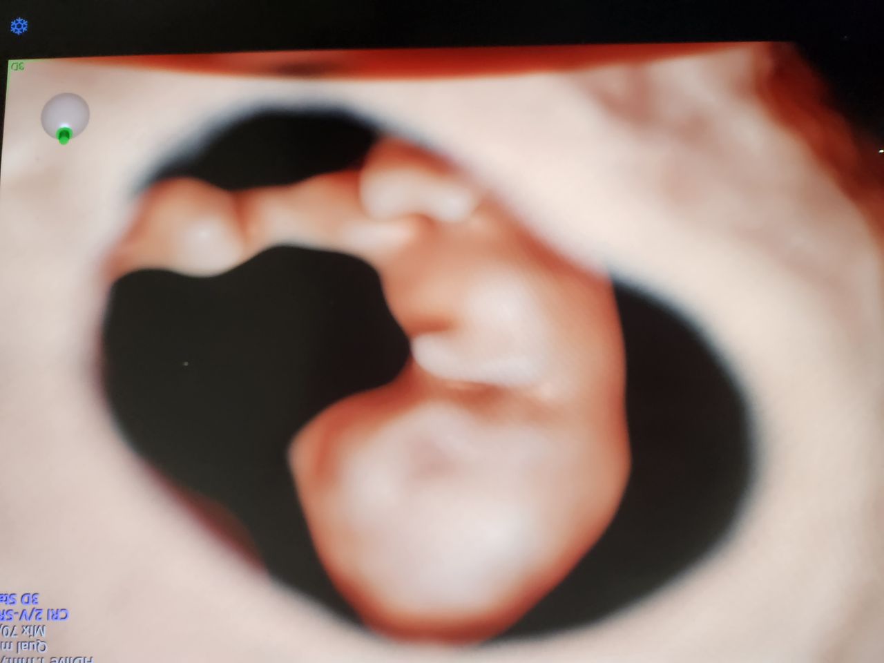 Lorena Alejandra Hormazabal Lama-13