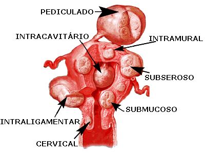 Renata Wanderley Nogueira-34