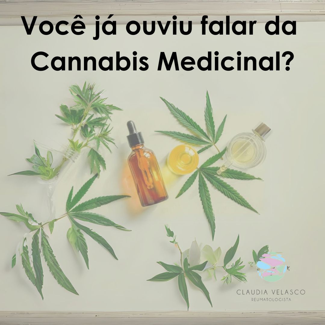 Claudia Rodrigues De Velasco-3