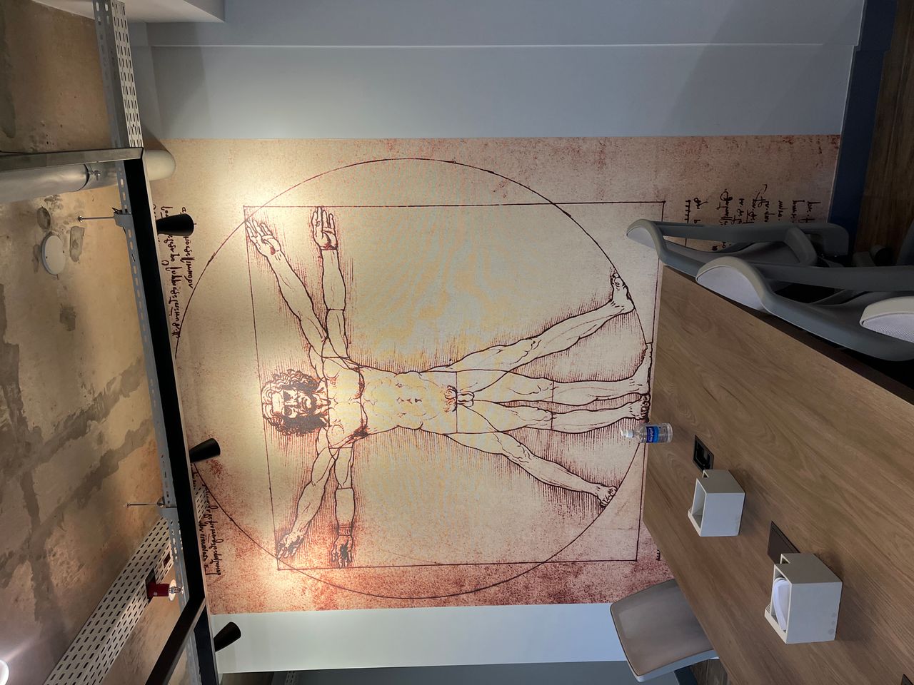 Ana Laura Halas Covre-2