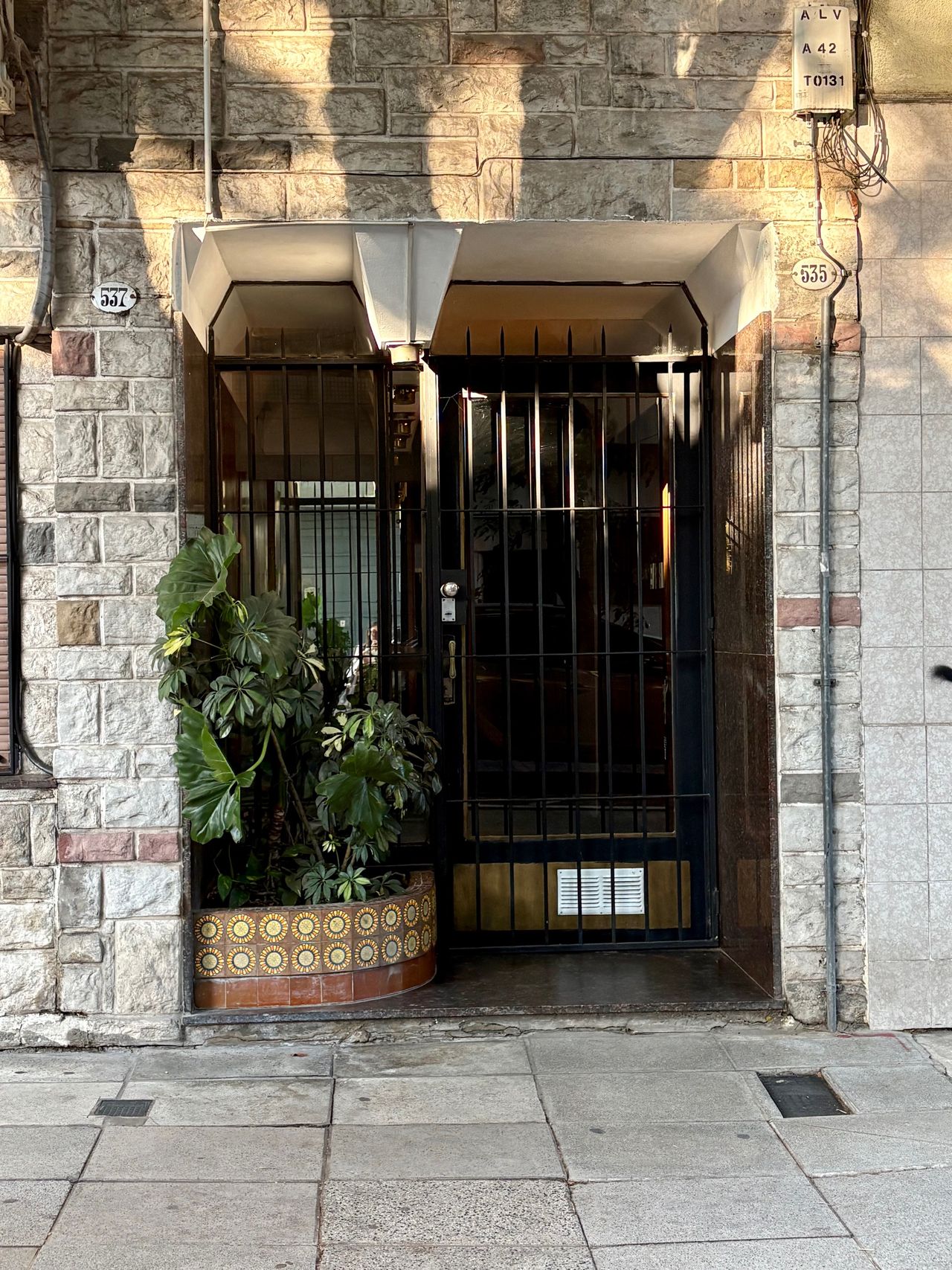 Juan Vazquez Epelbaum-0