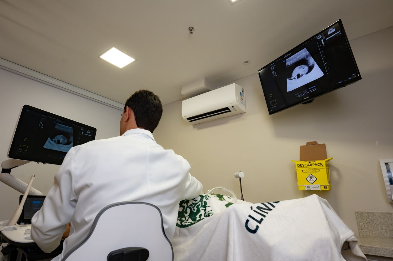 Vinicius De Borba Marthental-1