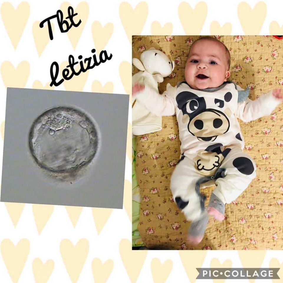 Carlos Andres Zorro Rodriguez-12