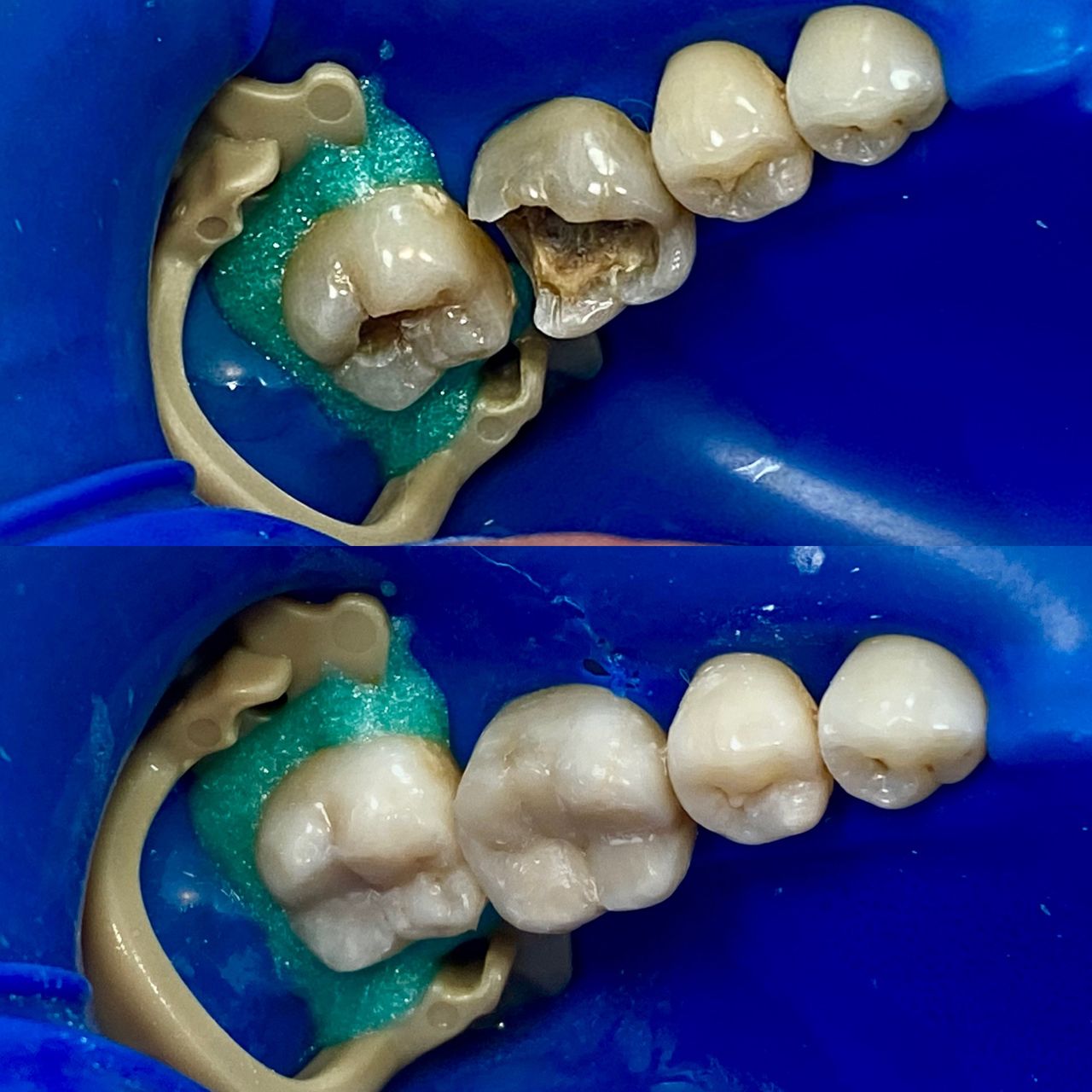 Montserrat Carbonell Palacios-6