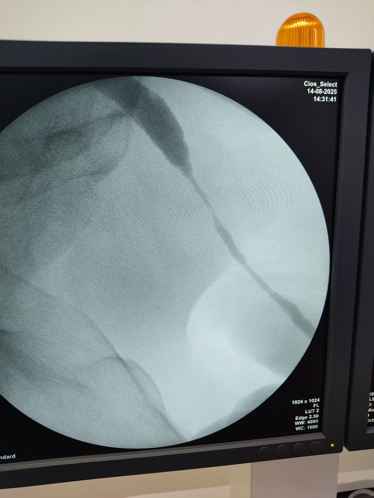 Raúl Federico Larcade-12