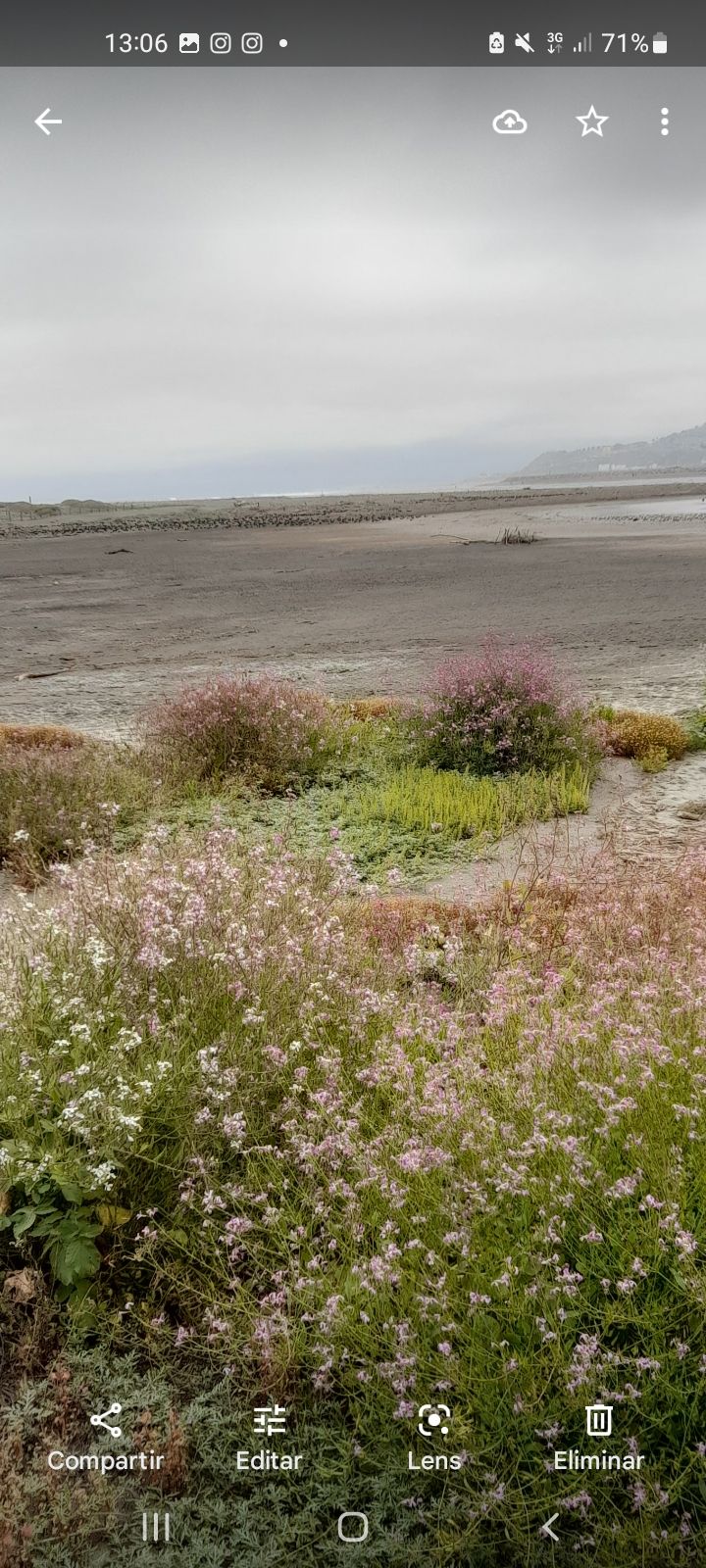 María Beatriz Valenzuela Larrañaga-10