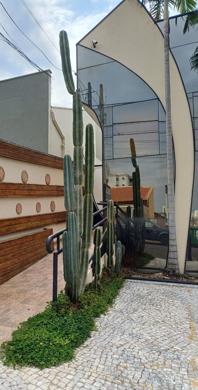 Maria Do Sacramento Tanganelli-11