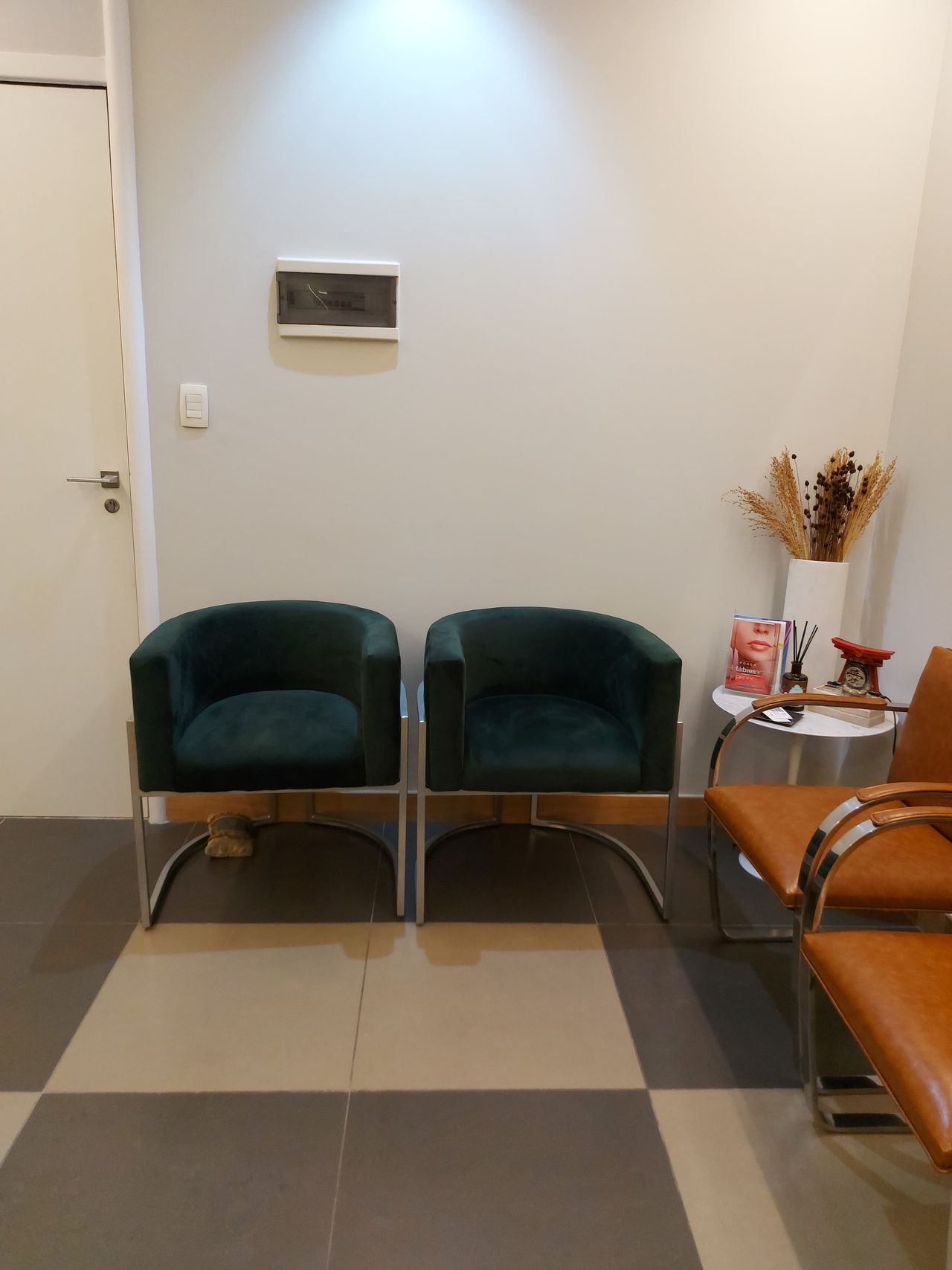 Fábio Anauate Nicolao-5