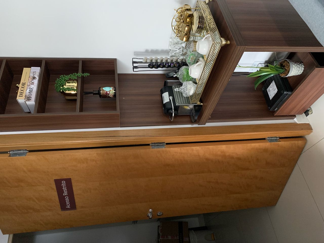 Flávia Zardo Trindade-2