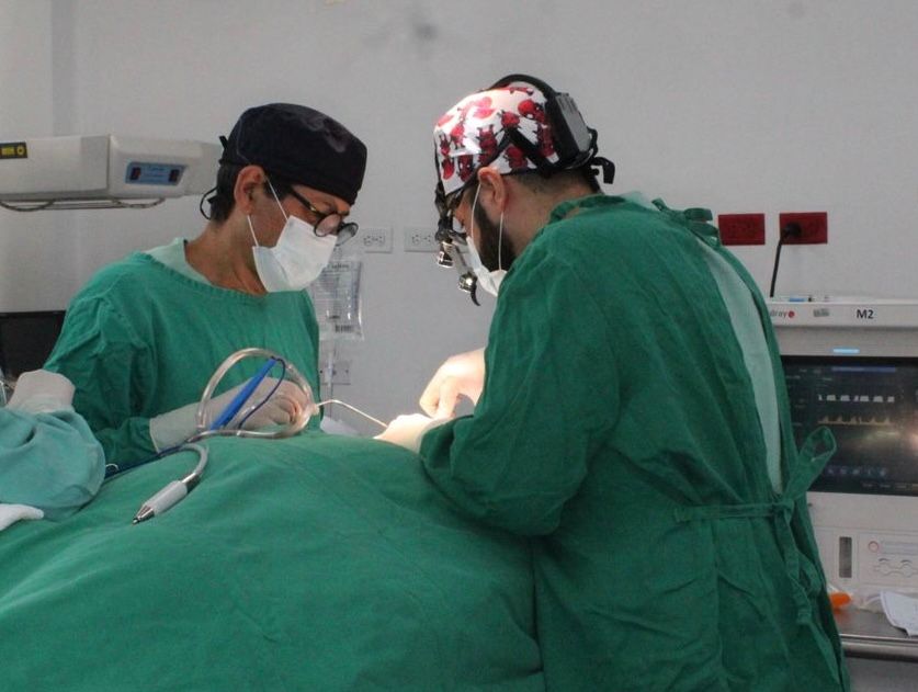 Jose Vicente Rocha Fernandez-5