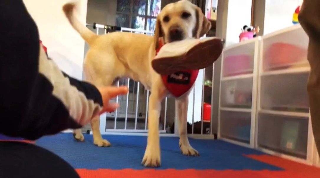 Jennifer Puglisevich Da Silva-5