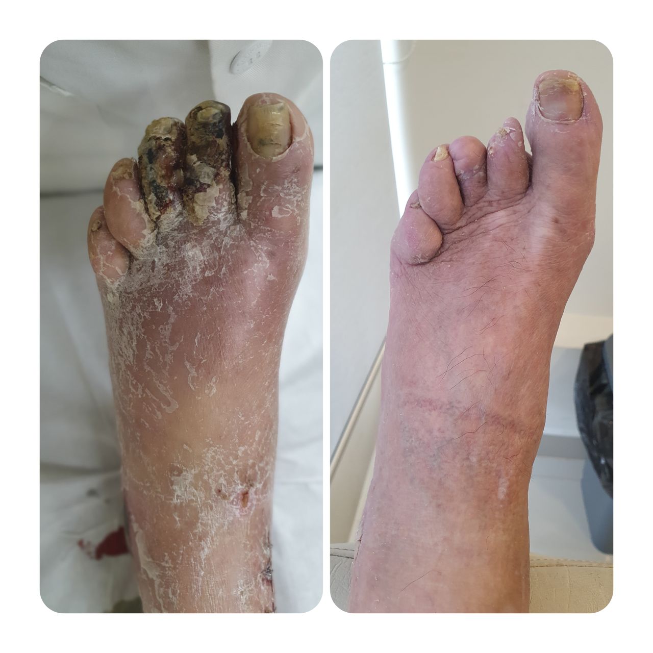 Lubin Morales Cadenas-5