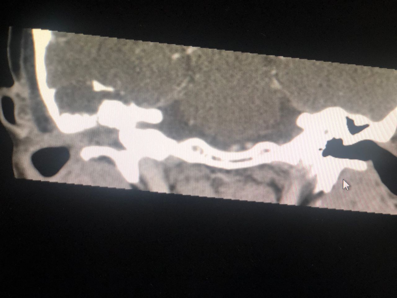 Claudia Patricia Arriagada Godoy-7