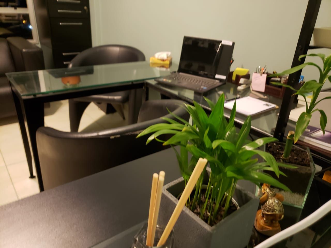 Vanessa De Andrade-0