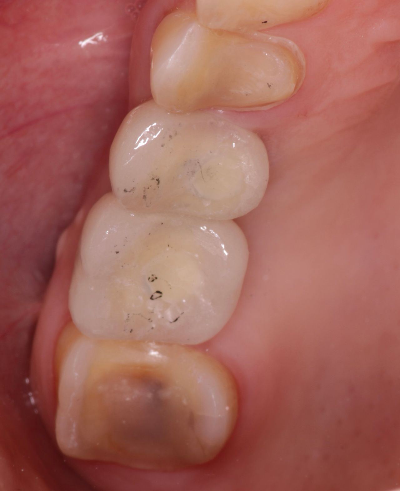 Luis Muñoz Tolhuysen-12