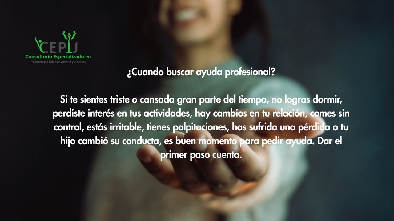 Laura Viviana Pinzón Izaquita-4