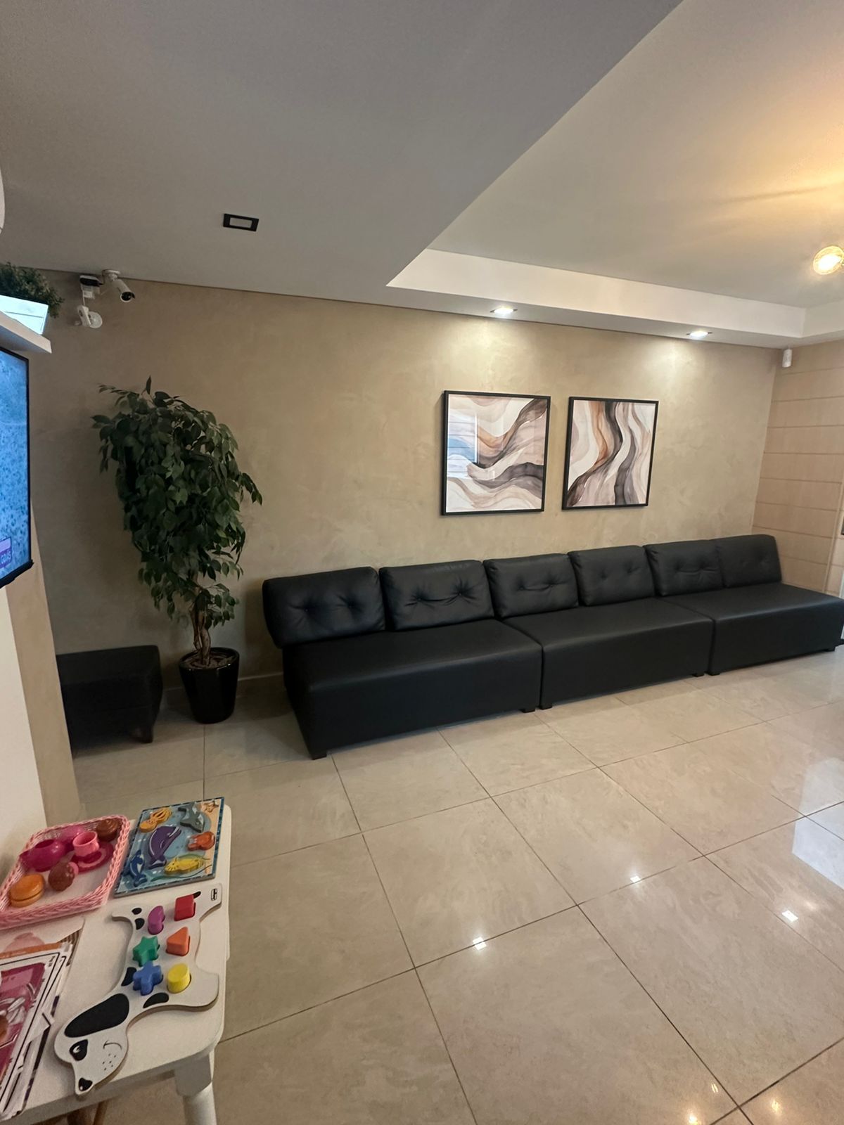 Ana Carolina De Souza Oliveira Nava-2