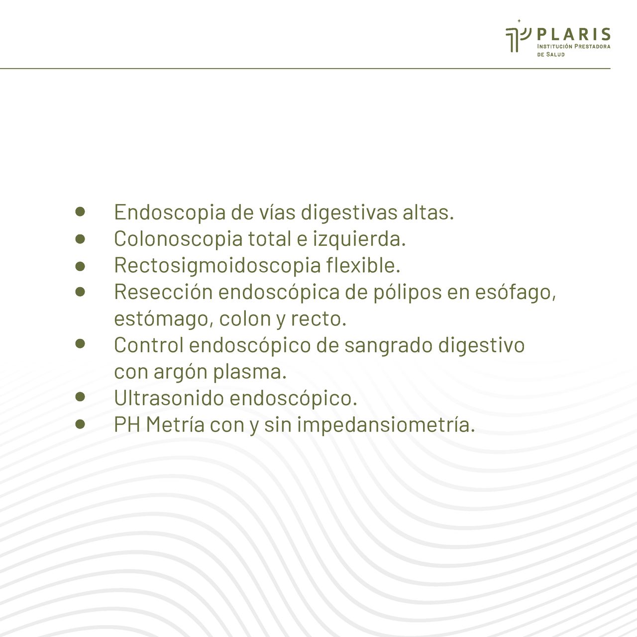 Dinimo José Bolívar Sáenz-14