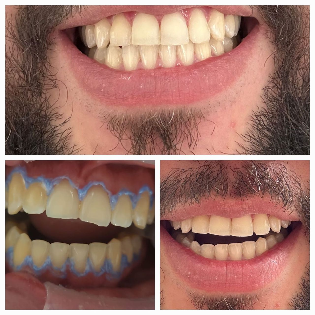 Lucía Inés Torrado Cote-1