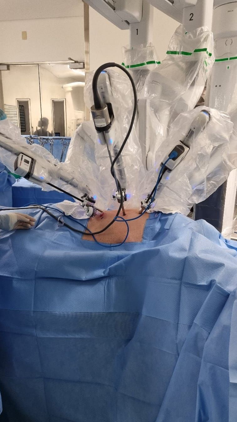 Rodrigo Pires De Souza Lima-11