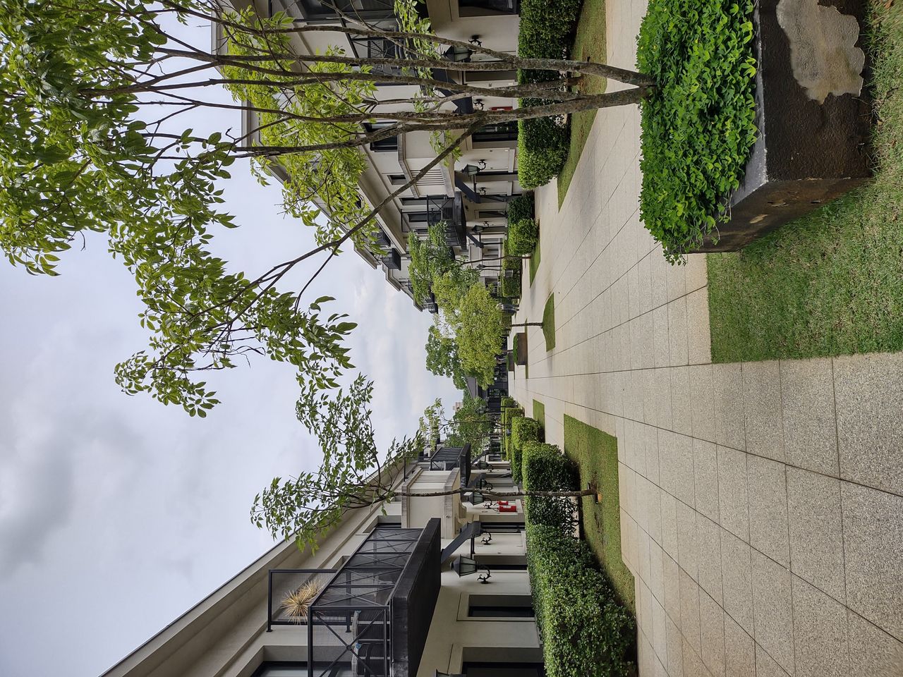 Denis Pimenta E Souza-22