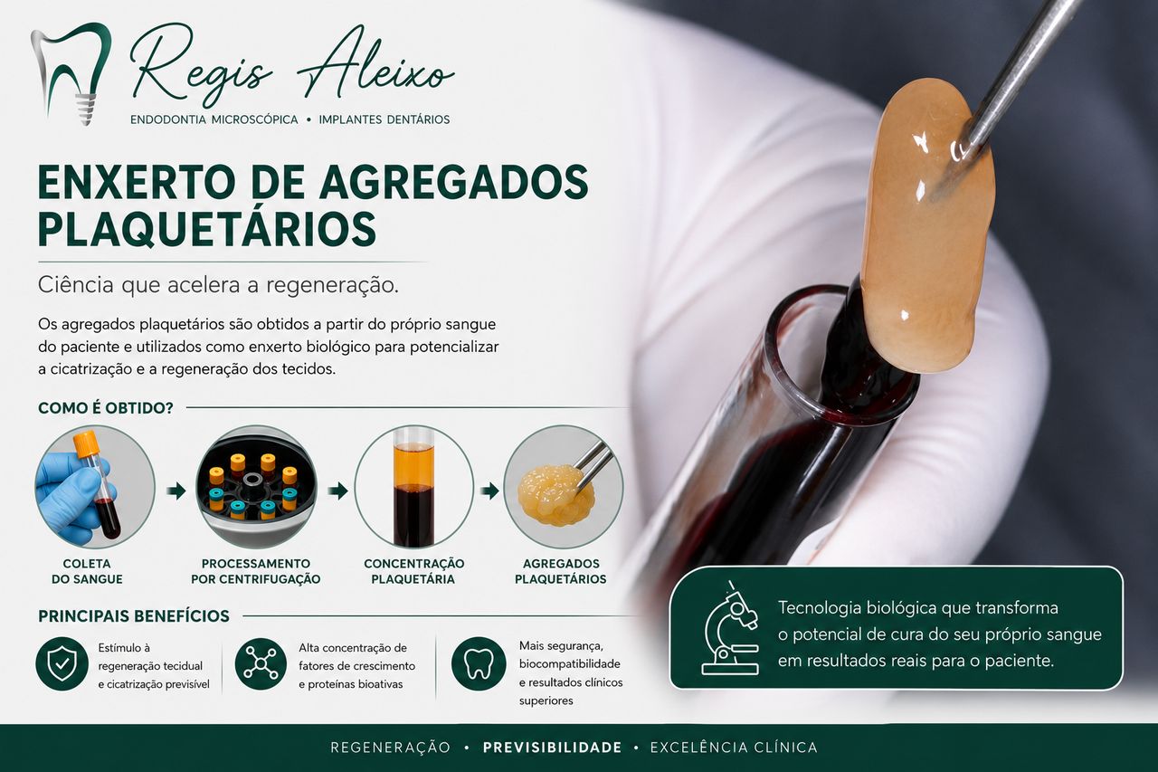 Regis Augusto Aleixo Alves-5