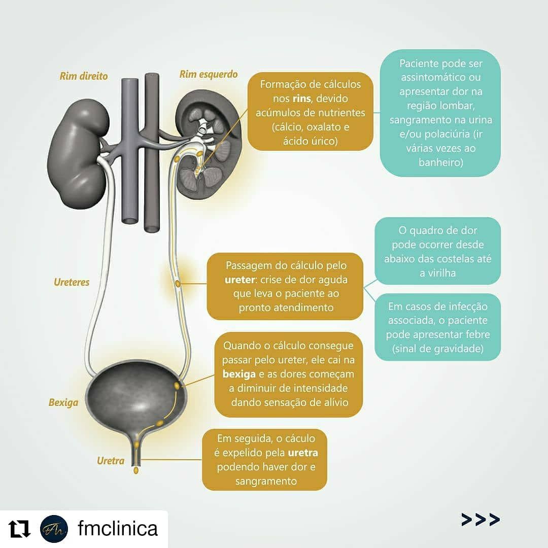Hamilton Franco Filho-43