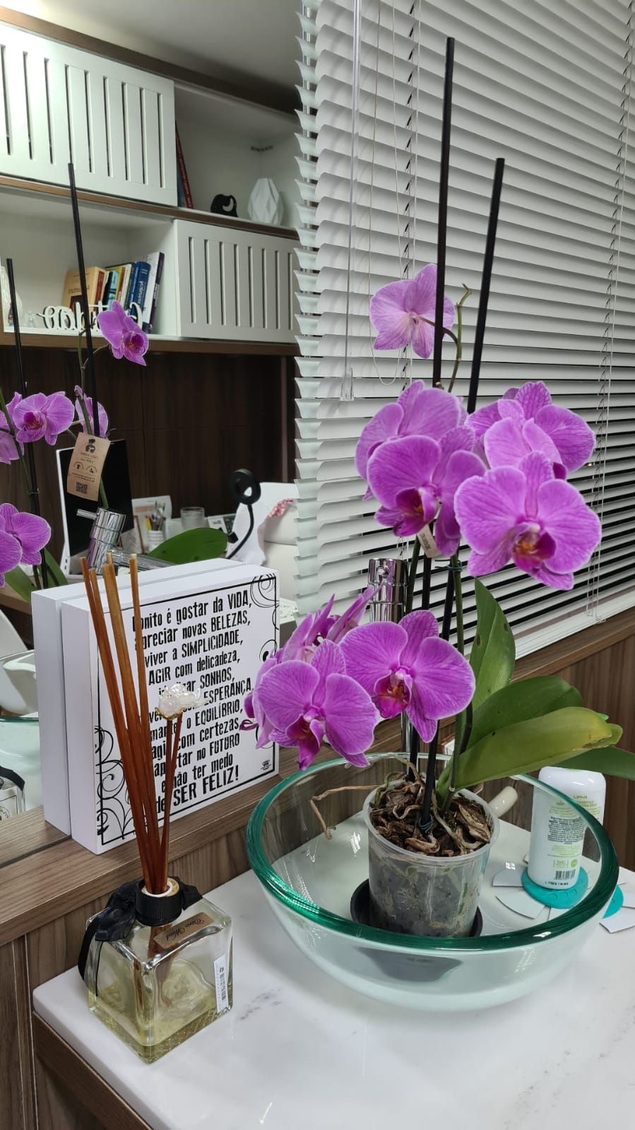 Simone Steinhaus Da Silva-4