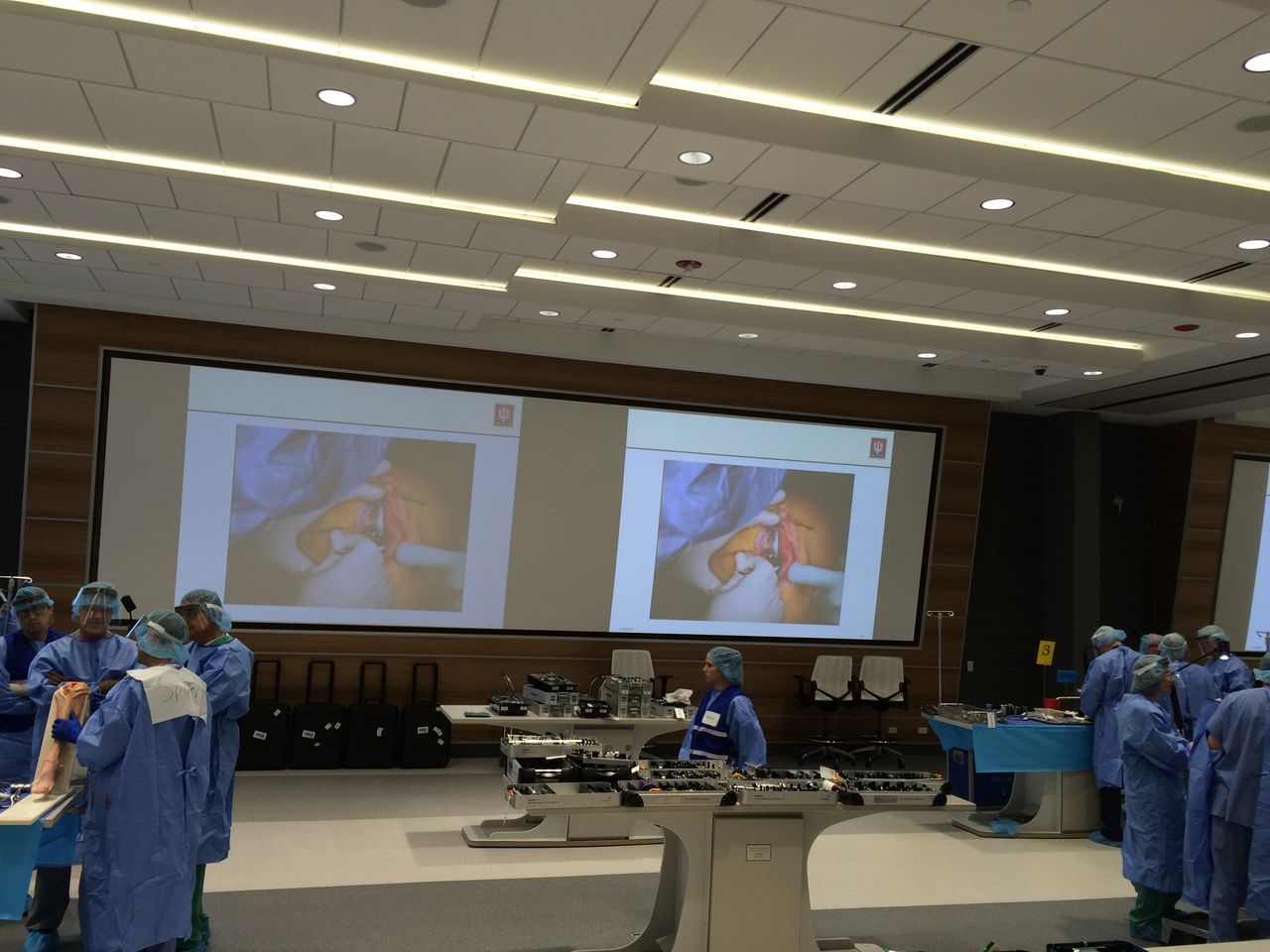 Darci Duarte Lopes Junior-12