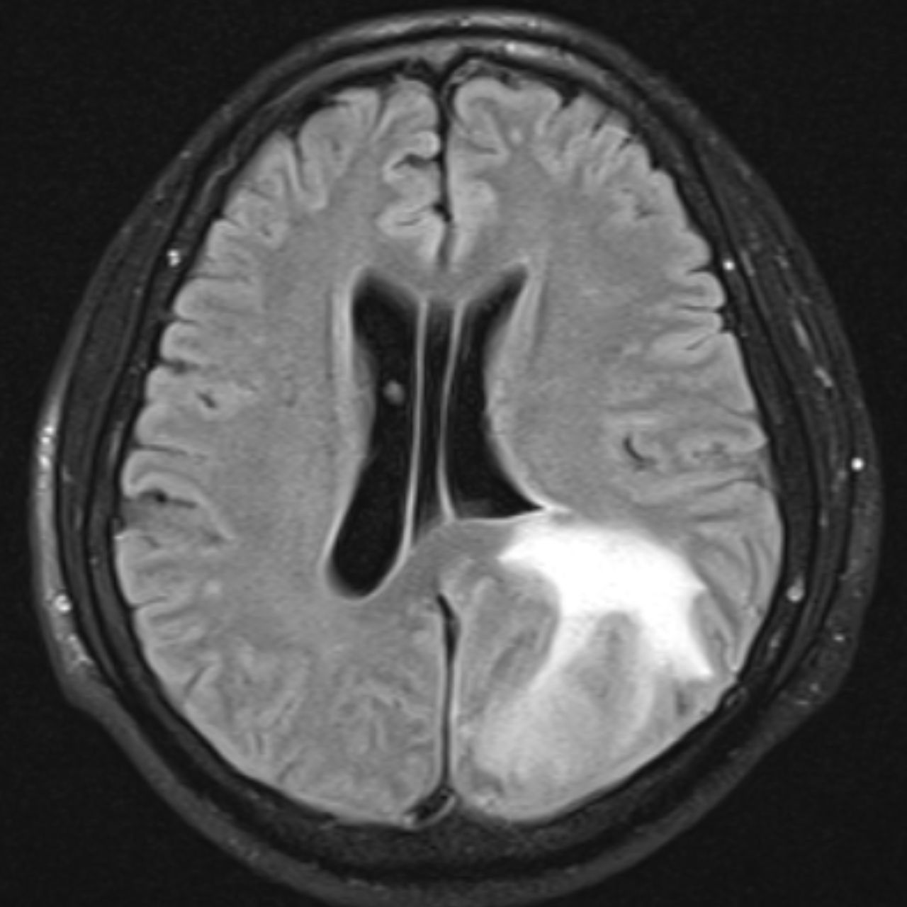 David Tafur Muñoz-1607