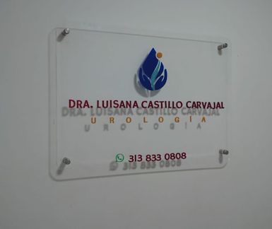 Luisana Castillo Carvajal-2