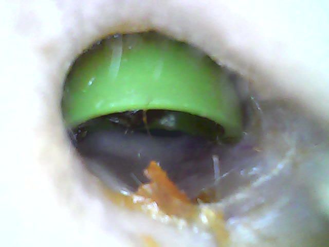 Jesusita Ortiz Collazos-2